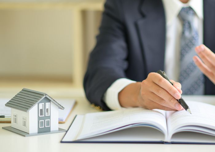 Anwalt Rittinger beim Erklären